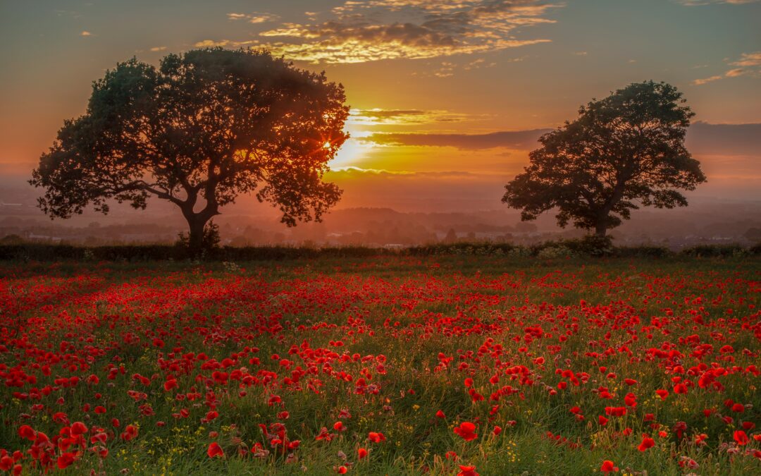 Your Parent’s Death: Facing Fear and Finding Meaning