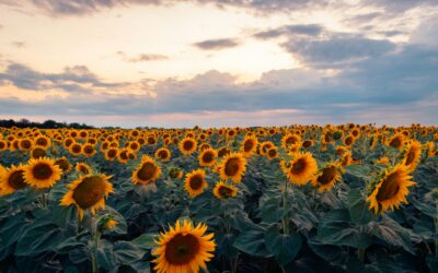 4 Sanity-Preserving Truths Your Good Friends Want You to Know